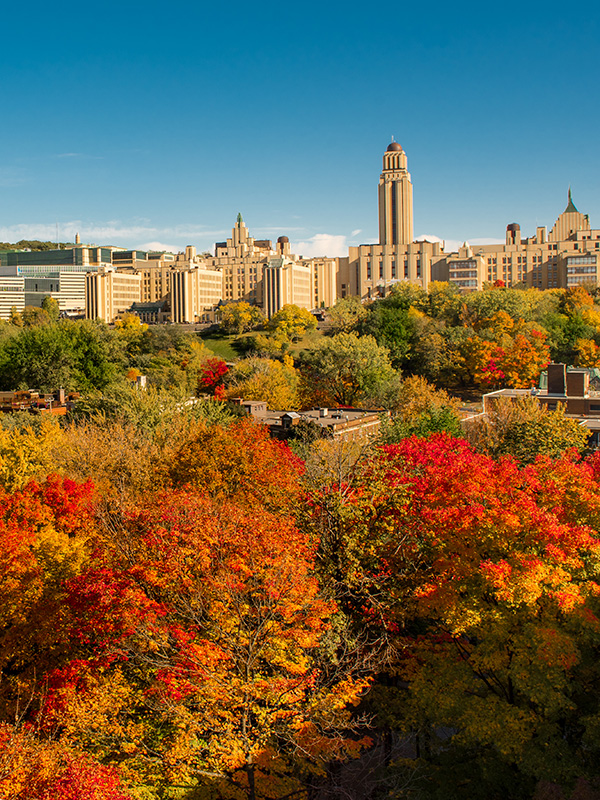 Campus de la montagne